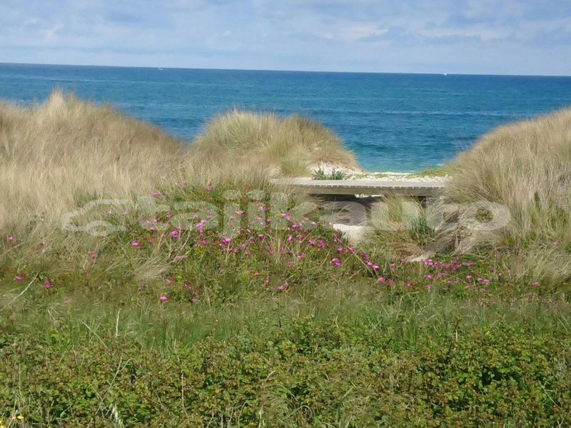 Big with watermark image