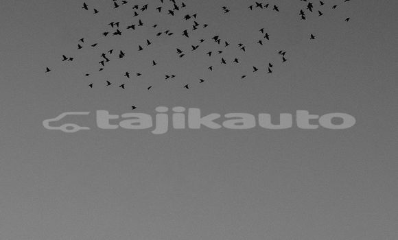 Medium with watermark image
