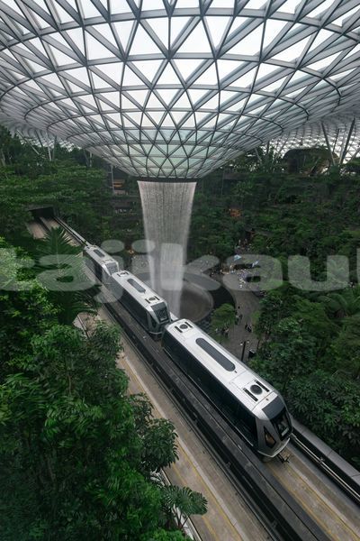 Big with watermark image