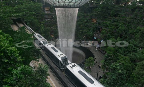 Medium with watermark image