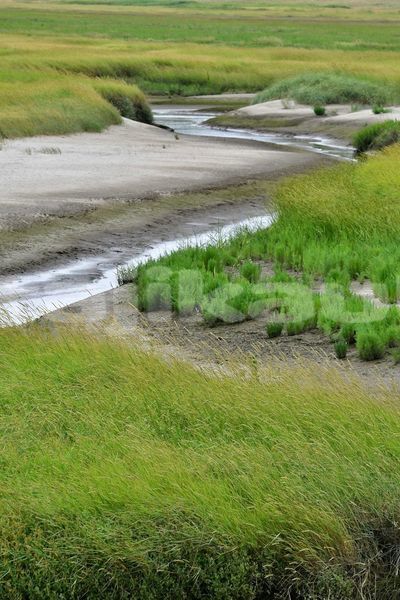 Big with watermark image