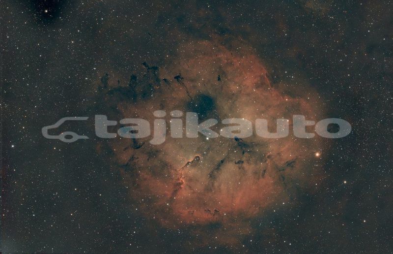 Big with watermark image
