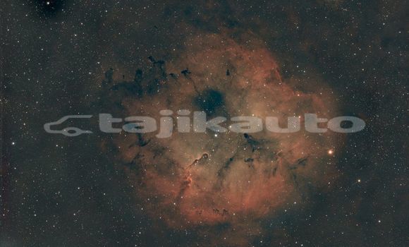 Medium with watermark image