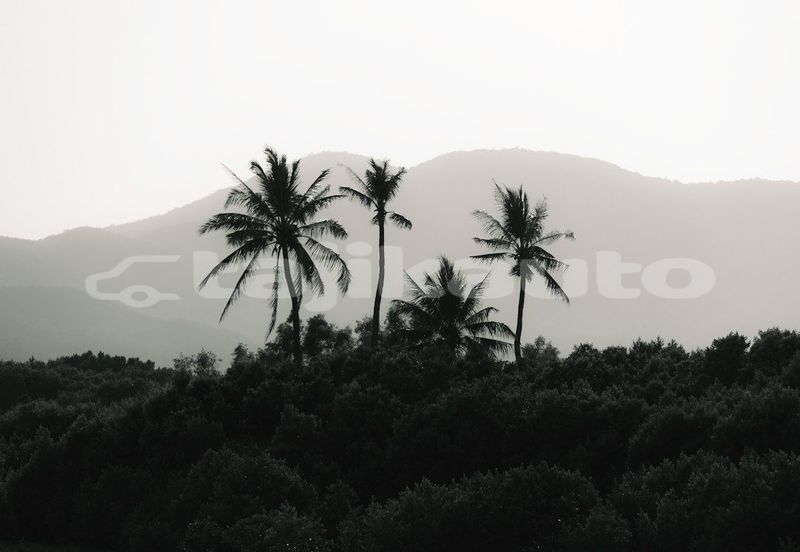 Big with watermark image