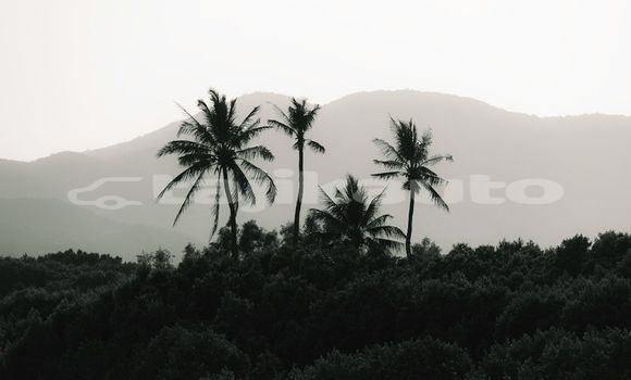 Medium with watermark image