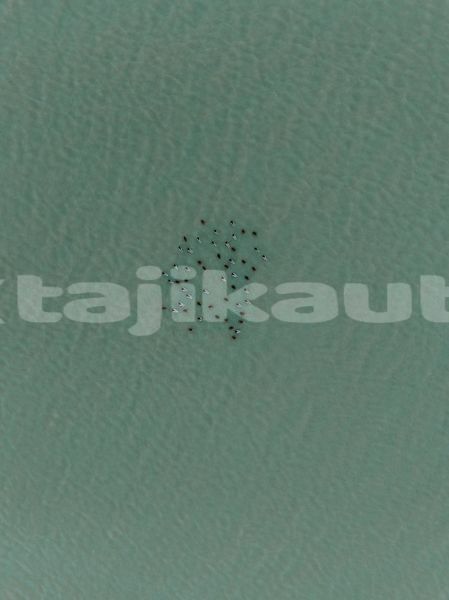 Big with watermark image