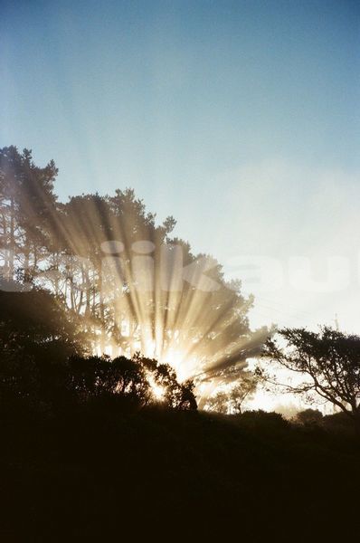 Big with watermark image
