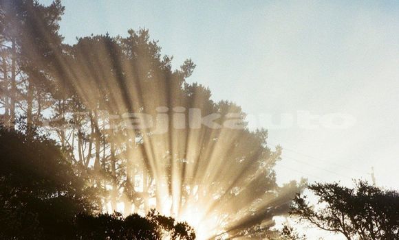 Medium with watermark image