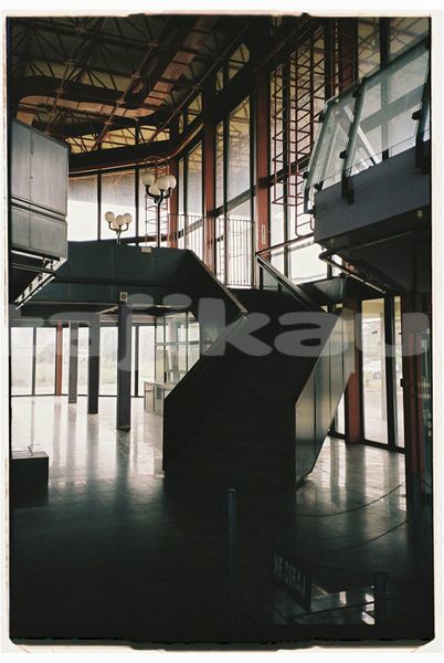 Big with watermark image