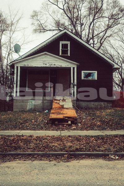 Big with watermark image