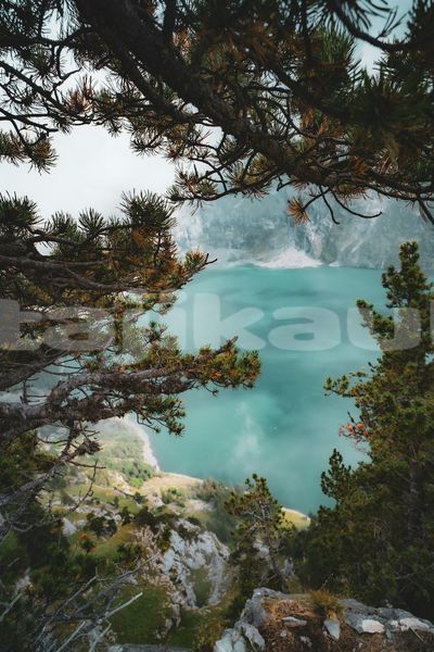 Big with watermark image