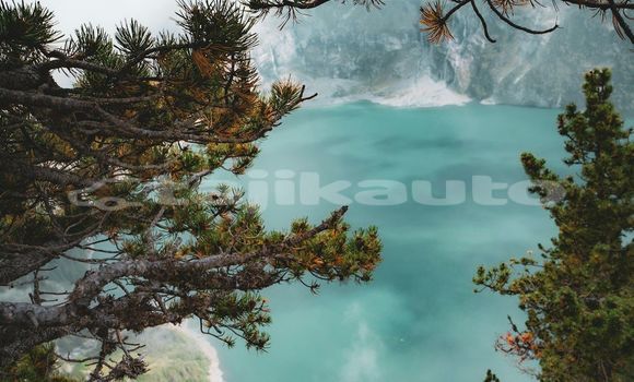 Medium with watermark image