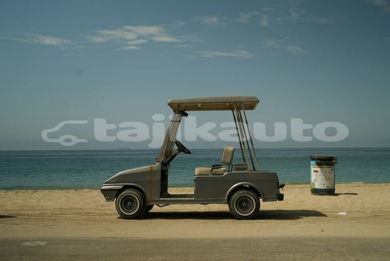 Big with watermark image