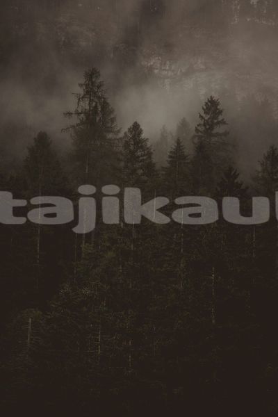 Big with watermark image