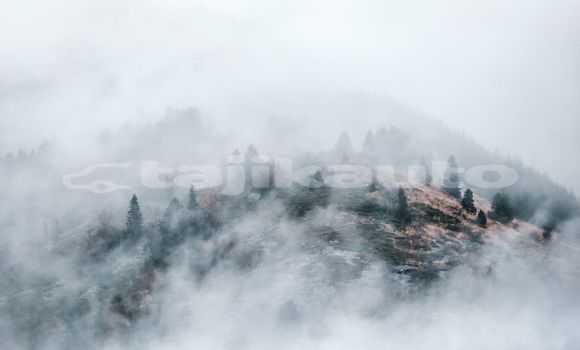 Medium with watermark image