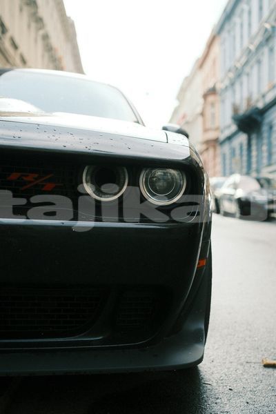 Big with watermark image