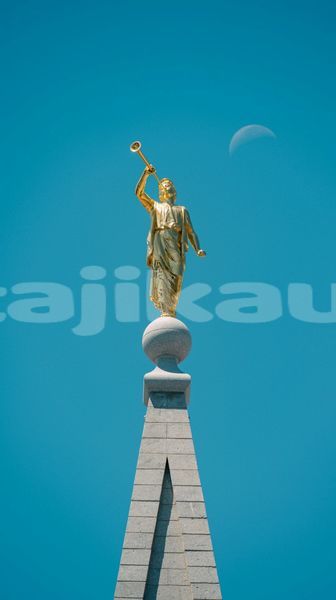 Big with watermark image