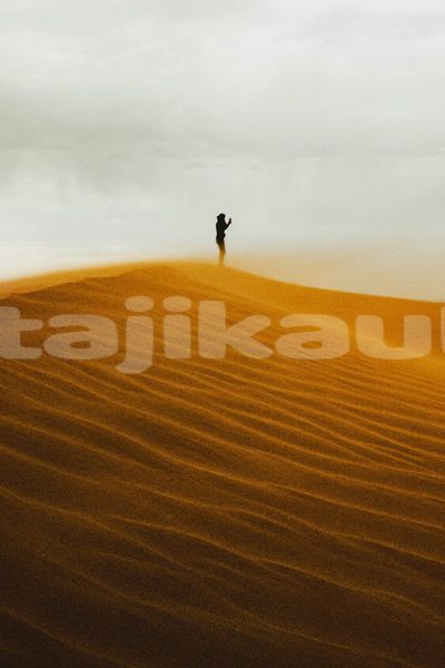 Big with watermark image