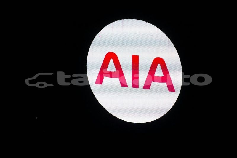 Big with watermark image