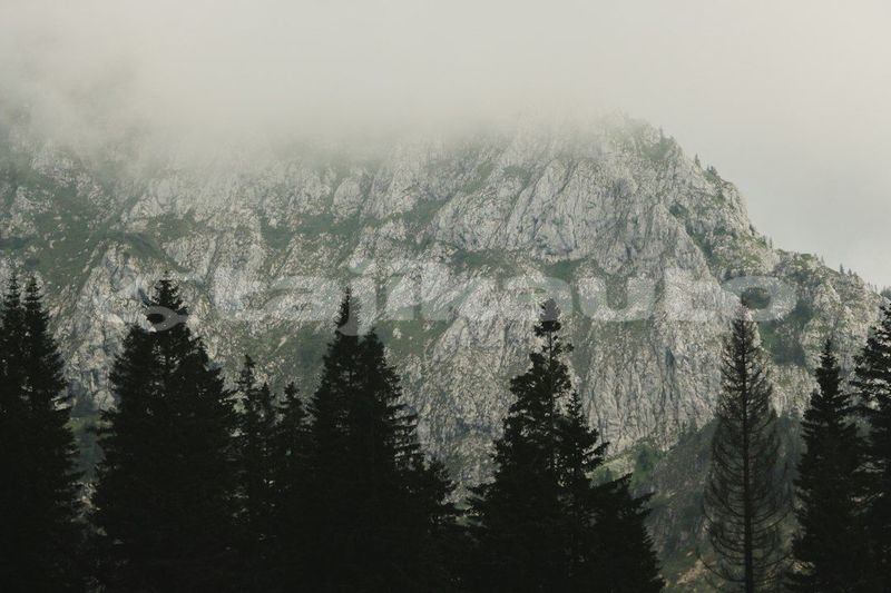 Big with watermark image