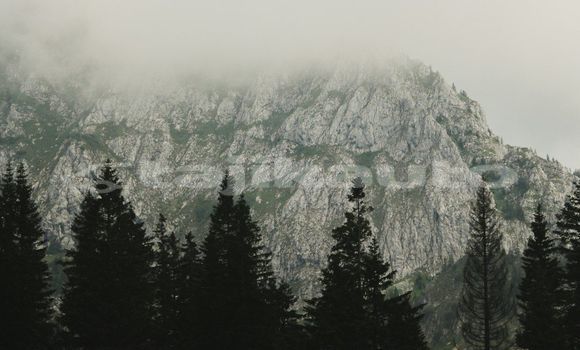 Medium with watermark image