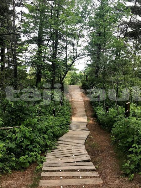 Big with watermark image