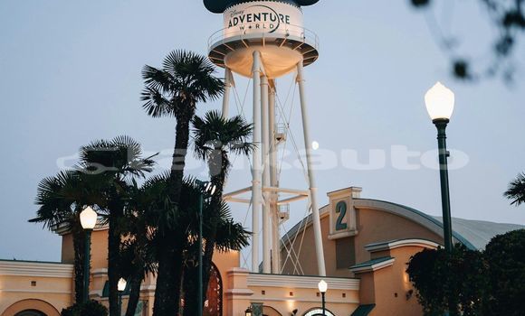 Medium with watermark image