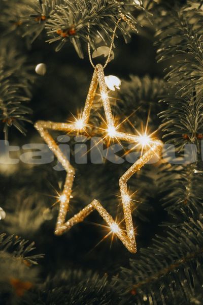 Big with watermark image