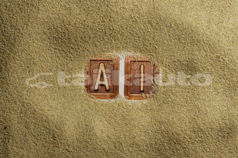 Big with watermark image