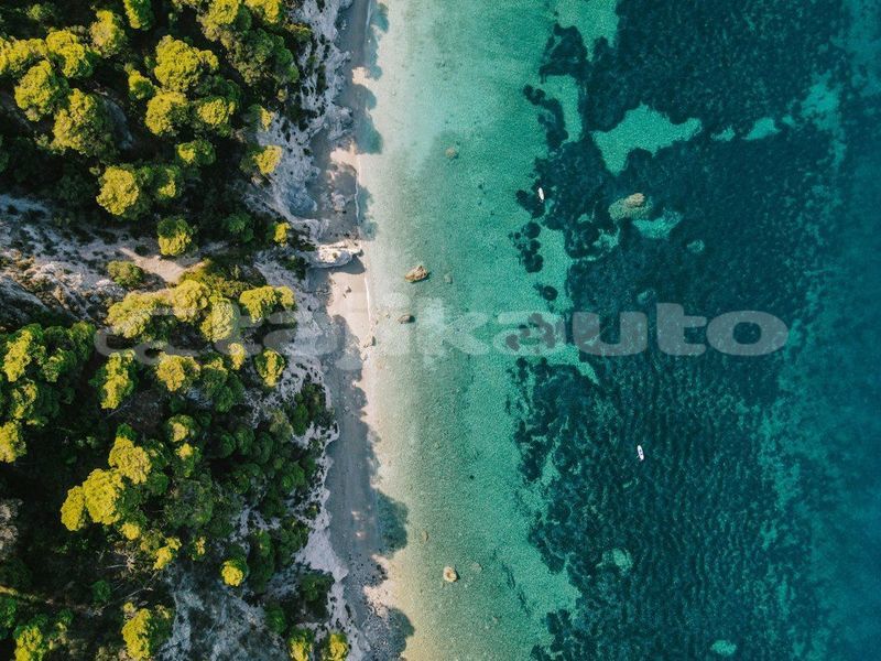 Big with watermark image