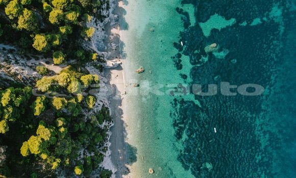 Medium with watermark image