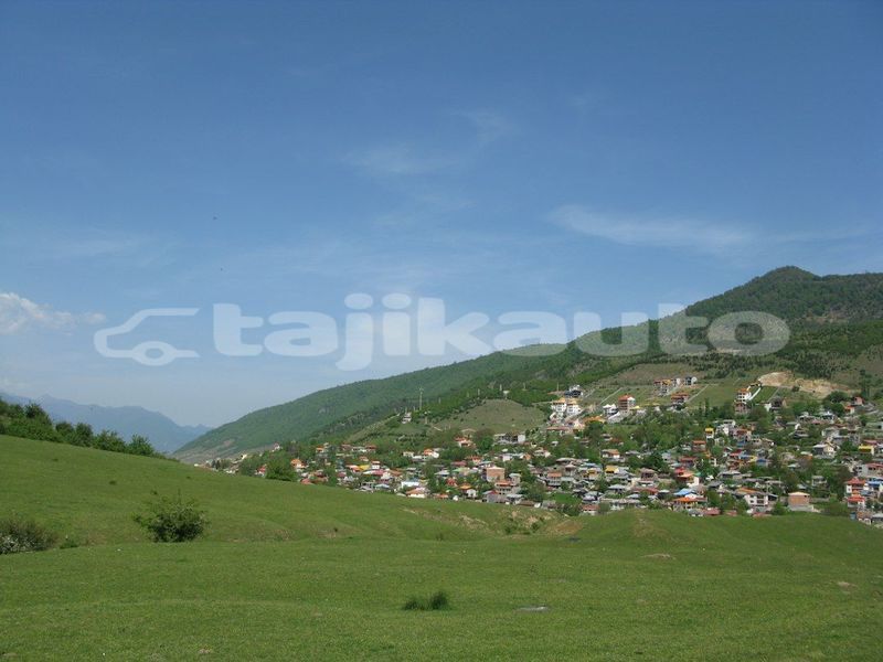 Big with watermark image