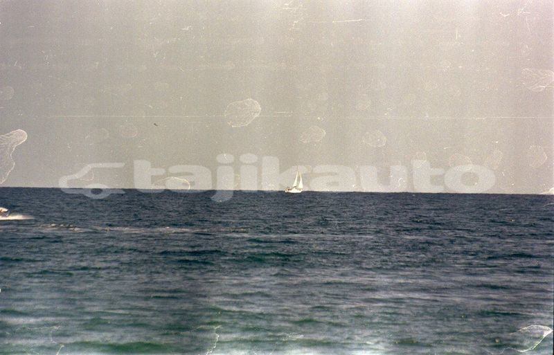 Big with watermark image