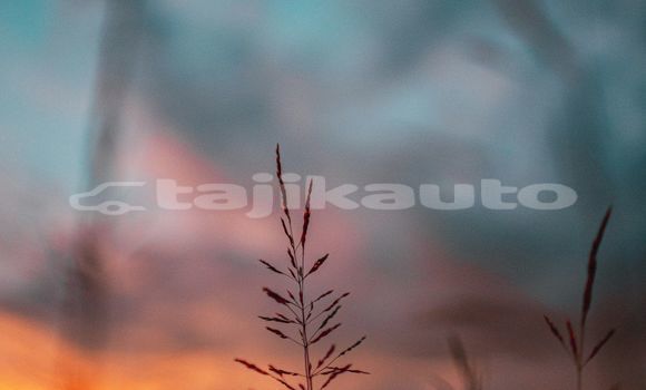 Medium with watermark image