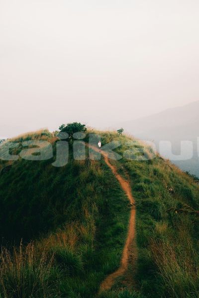 Big with watermark image