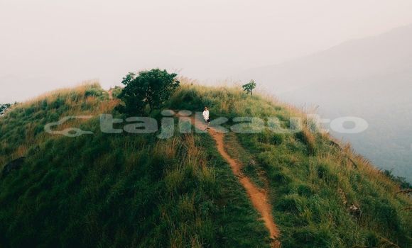 Medium with watermark image