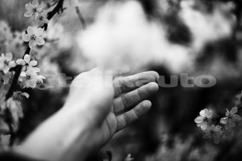 Big with watermark image