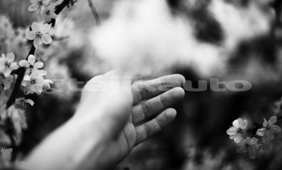 Medium with watermark image