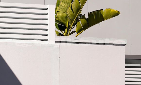 Medium with watermark image