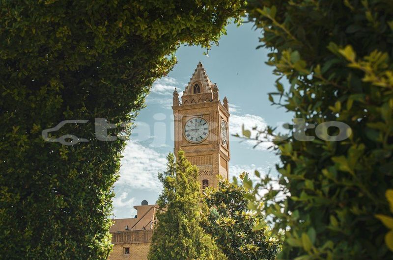 Big with watermark image