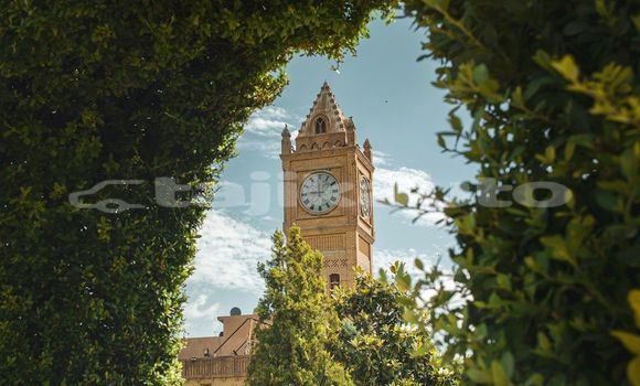 Medium with watermark image
