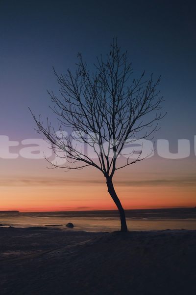 Big with watermark image