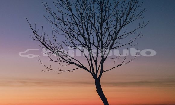 Medium with watermark image