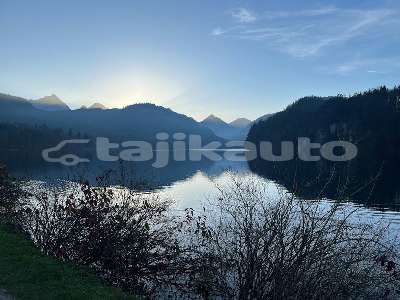 Big with watermark image