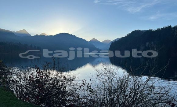 Medium with watermark image