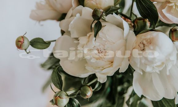 Medium with watermark image