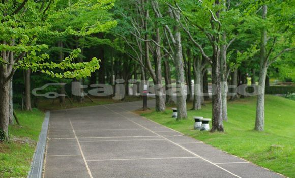 Medium with watermark image
