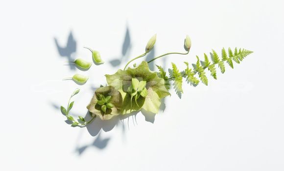 Medium with watermark image