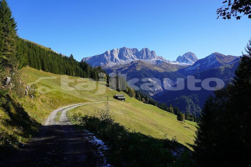 Big with watermark image