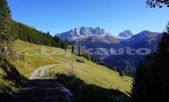 Medium with watermark image